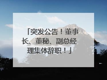 突发公告！董事长、董秘、副总经理集体辞职！