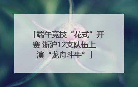 端午竞技“花式”开赛 浙沪12支队伍上演“龙舟斗牛”