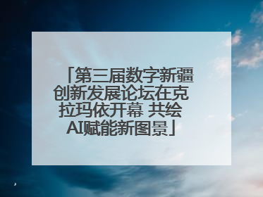 第三届数字新疆创新发展论坛在克拉玛依开幕 共绘AI赋能新图景
