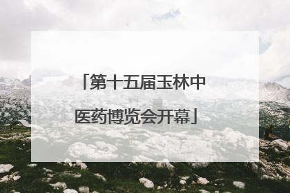 第十五届玉林中医药博览会开幕