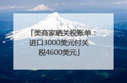 美商家晒关税账单：进口3000美元付关税4600美元