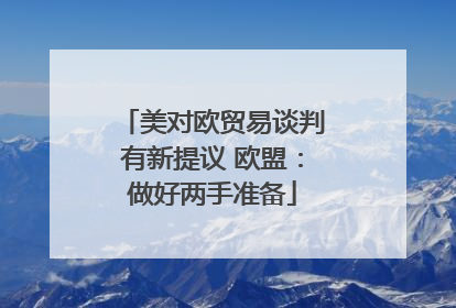 美对欧贸易谈判有新提议 欧盟：做好两手准备