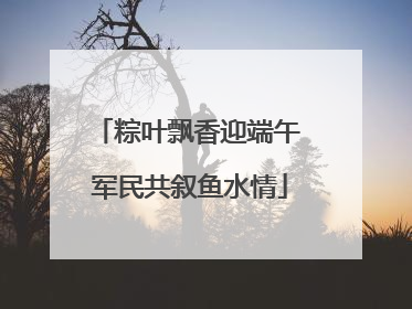 粽叶飘香迎端午 军民共叙鱼水情