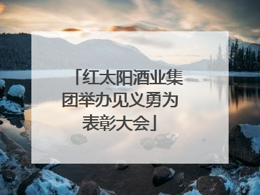 红太阳酒业集团举办见义勇为表彰大会