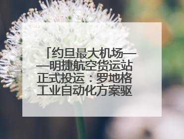 约旦最大机场——明捷航空货运站正式投运：罗地格工业自动化方案驱动中东物流未来新航向