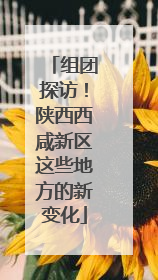 组团探访！陕西西咸新区这些地方的新变化