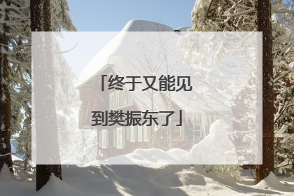 终于又能见到樊振东了