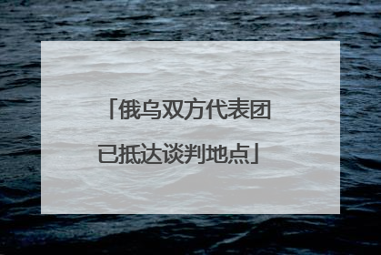 俄乌双方代表团已抵达谈判地点