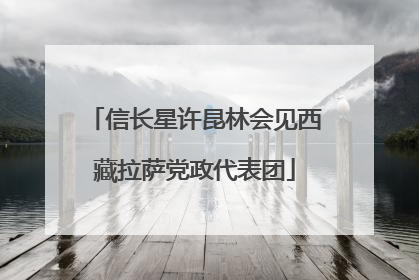 信长星许昆林会见西藏拉萨党政代表团