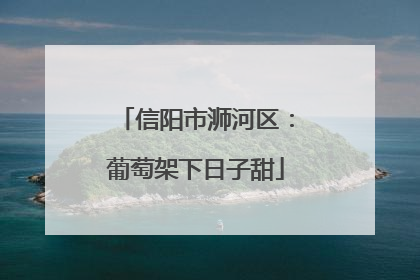 信阳市浉河区：葡萄架下日子甜