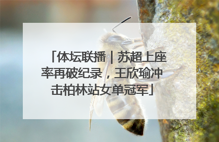 体坛联播｜苏超上座率再破纪录，王欣瑜冲击柏林站女单冠军
