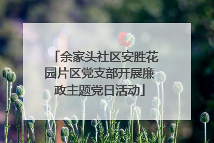 余家头社区安胜花园片区党支部开展廉政主题党日活动
