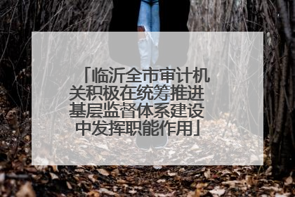 临沂全市审计机关积极在统筹推进基层监督体系建设中发挥职能作用