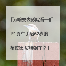 为啥要去影院看一群F1真车手陪62岁的布拉德·皮特飙车？
