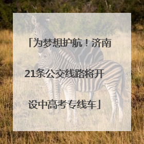 为梦想护航！济南21条公交线路将开设中高考专线车