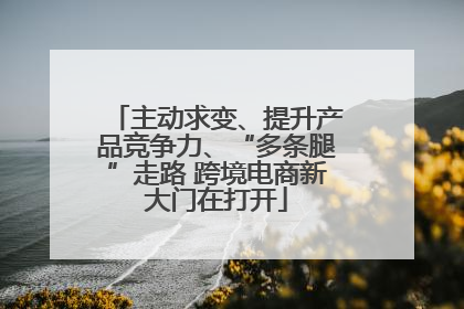 主动求变、提升产品竞争力、“多条腿”走路 跨境电商新大门在打开