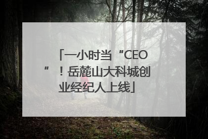 一小时当“CEO”！岳麓山大科城创业经纪人上线