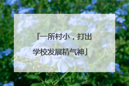 一所村小，打出学校发展精气神