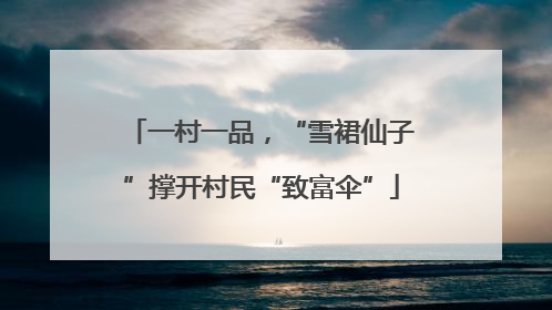 一村一品，“雪裙仙子”撑开村民“致富伞”