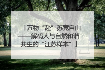 万物“赴”苏竞自由——解码人与自然和谐共生的“江苏样本”