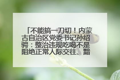 不能搞一刀切！内蒙古自治区党委书记孙绍骋：整治违规吃喝不是阻绝正常人际交往、黯淡人间烟火