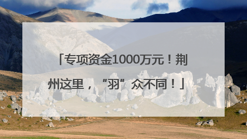 专项资金1000万元！荆州这里，“羽”众不同！