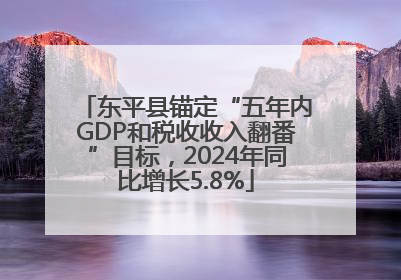 东平县锚定“五年内GDP和税收收入翻番”目标，2024年同比增长5.8%