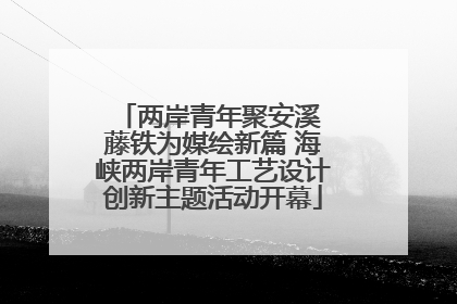 两岸青年聚安溪 藤铁为媒绘新篇 海峡两岸青年工艺设计创新主题活动开幕