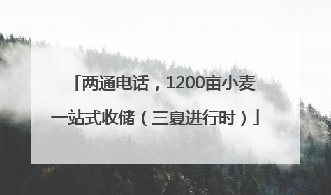 两通电话，1200亩小麦一站式收储（三夏进行时）