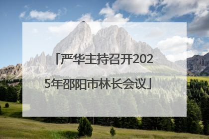严华主持召开2025年邵阳市林长会议