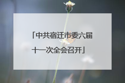 中共宿迁市委六届十一次全会召开