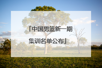 中国男篮新一期集训名单公布