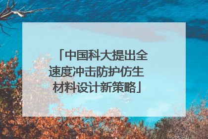中国科大提出全速度冲击防护仿生材料设计新策略