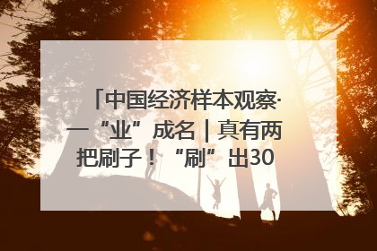 中国经济样本观察·一“业”成名｜真有两把刷子！“刷”出30亿级“颜值经济”