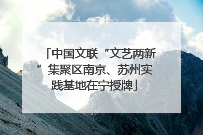中国文联“文艺两新”集聚区南京、苏州实践基地在宁授牌