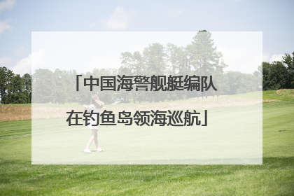 中国海警舰艇编队在钓鱼岛领海巡航