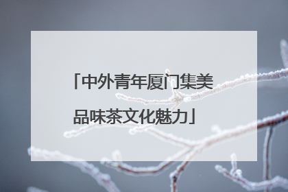 中外青年厦门集美品味茶文化魅力
