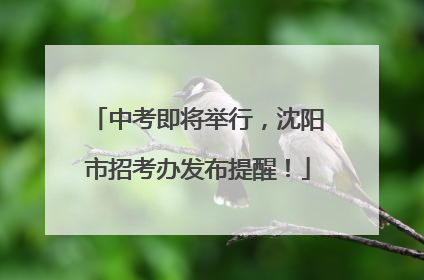 中考即将举行，沈阳市招考办发布提醒！