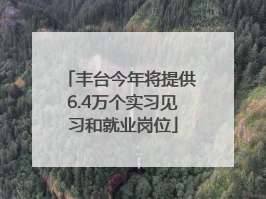 丰台今年将提供6.4万个实习见习和就业岗位