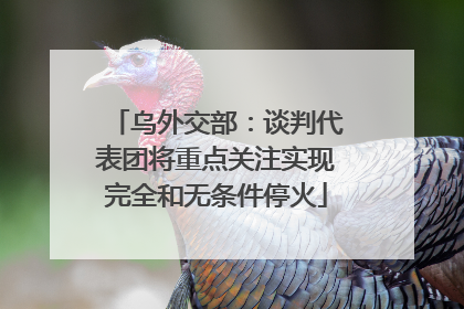 乌外交部：谈判代表团将重点关注实现完全和无条件停火
