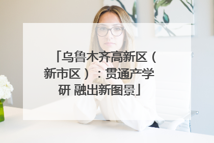 乌鲁木齐高新区（新市区）：贯通产学研 融出新图景