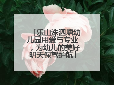 乐山洙泗塘幼儿园用爱与专业，为幼儿的美好明天保驾护航