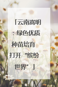 云南嵩明：绿色优质种苗培育 打开“缤纷世界”
