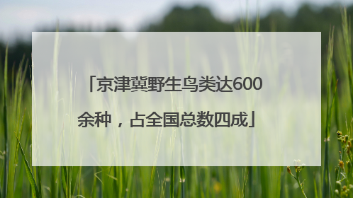 京津冀野生鸟类达600余种，占全国总数四成