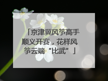 京津冀风筝高手顺义开赛，花样风筝云端“比武”