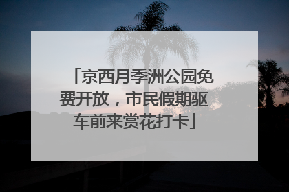 京西月季洲公园免费开放，市民假期驱车前来赏花打卡