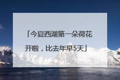 今夏西湖第一朵荷花开啦，比去年早5天