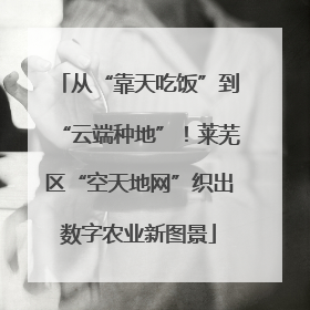 从“靠天吃饭”到“云端种地”！莱芜区“空天地网”织出数字农业新图景