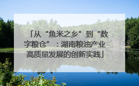 从“鱼米之乡”到“数字粮仓”：湖南粮油产业高质量发展的创新实践