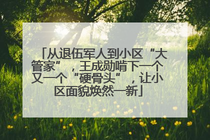 从退伍军人到小区“大管家”，王成勋啃下一个又一个“硬骨头”，让小区面貌焕然一新